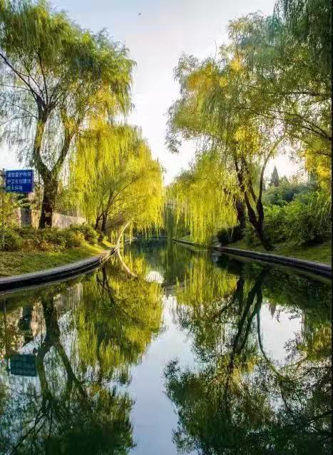 園林要怎么樣設(shè)計(jì)才好看？告訴大家這個(gè)小技巧