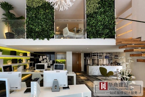 辦公室裝修中綠植是不可或缺的!為什么呢? 辦公室裝修中綠植是不可或缺的!為什么呢?